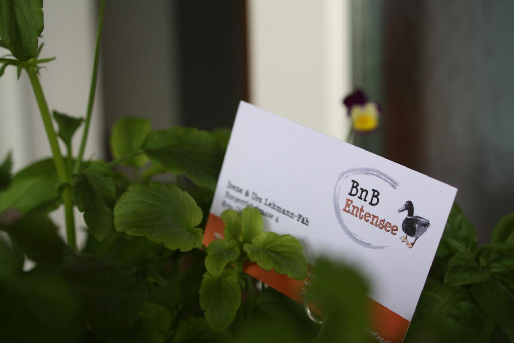 Bnb Entensee Uznach Exterior foto